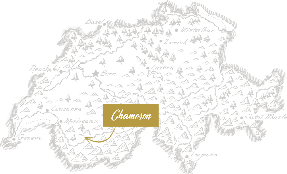 Carte de la Suisse